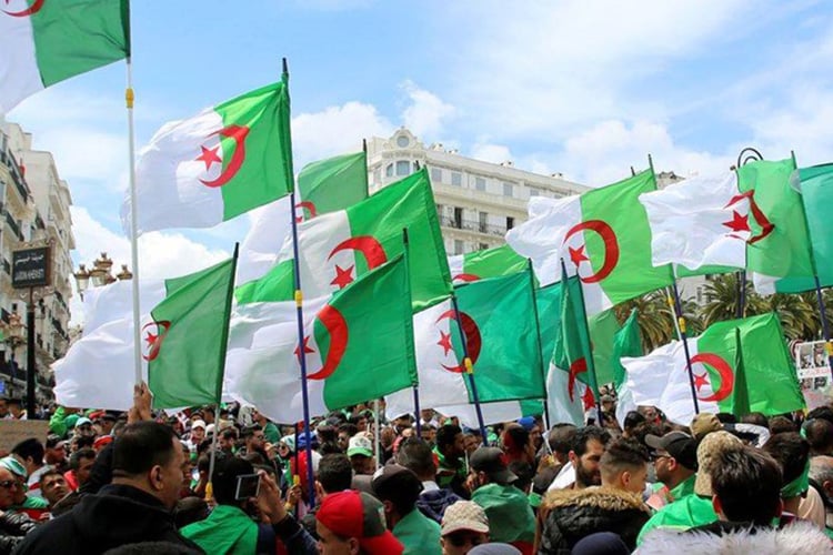 معرض فني ويوم دراسي موسوم بـ “نوفمبر في خيال الإبداع والنقد”